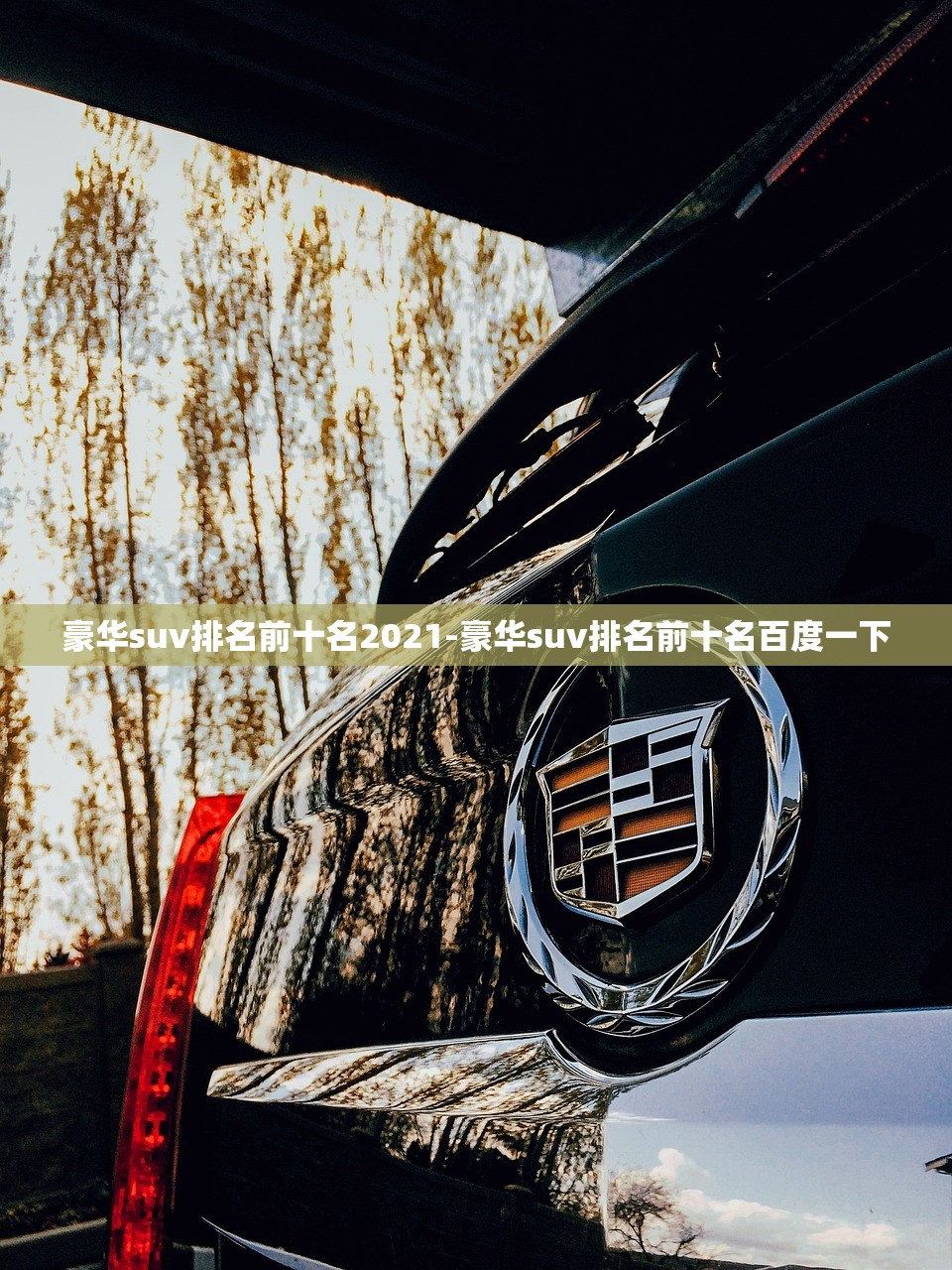 豪华suv排名前十名2021-豪华suv排名前十名百度一下