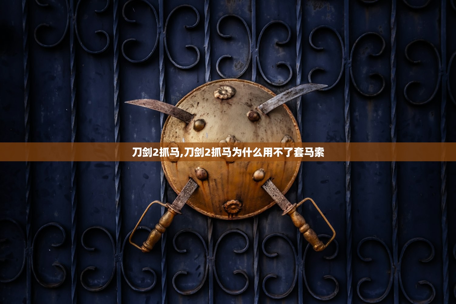 刀剑2抓马,刀剑2抓马为什么用不了套马索