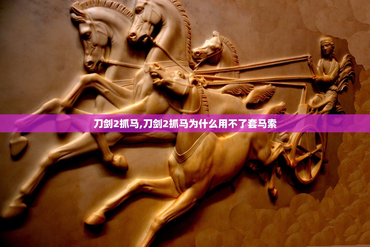 刀剑2抓马,刀剑2抓马为什么用不了套马索