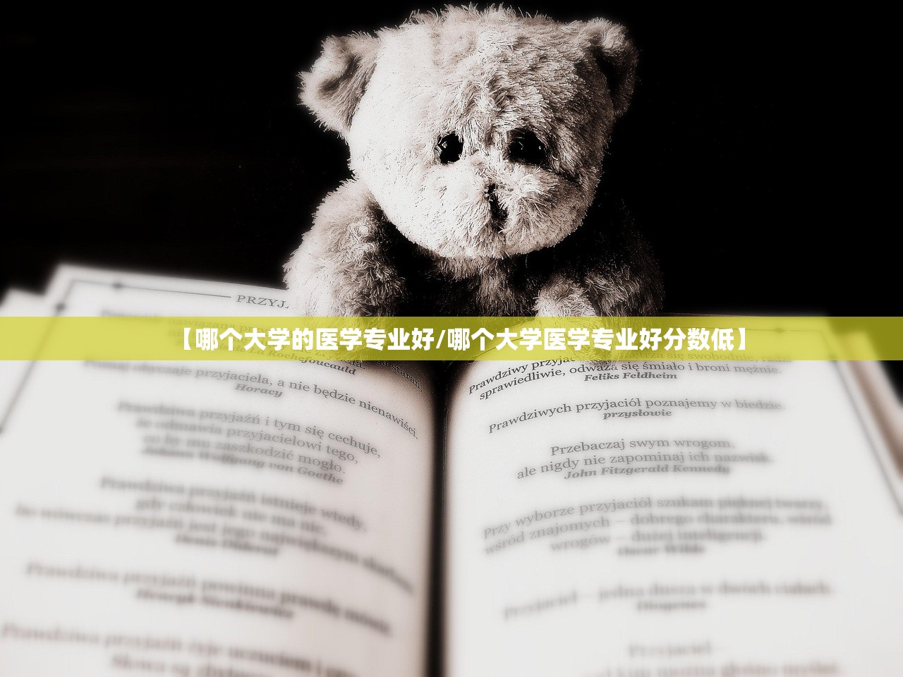 【哪个大学的医学专业好/哪个大学医学专业好分数低】 【哪个大学的医学专业好/哪个大学医学专业好分数低】