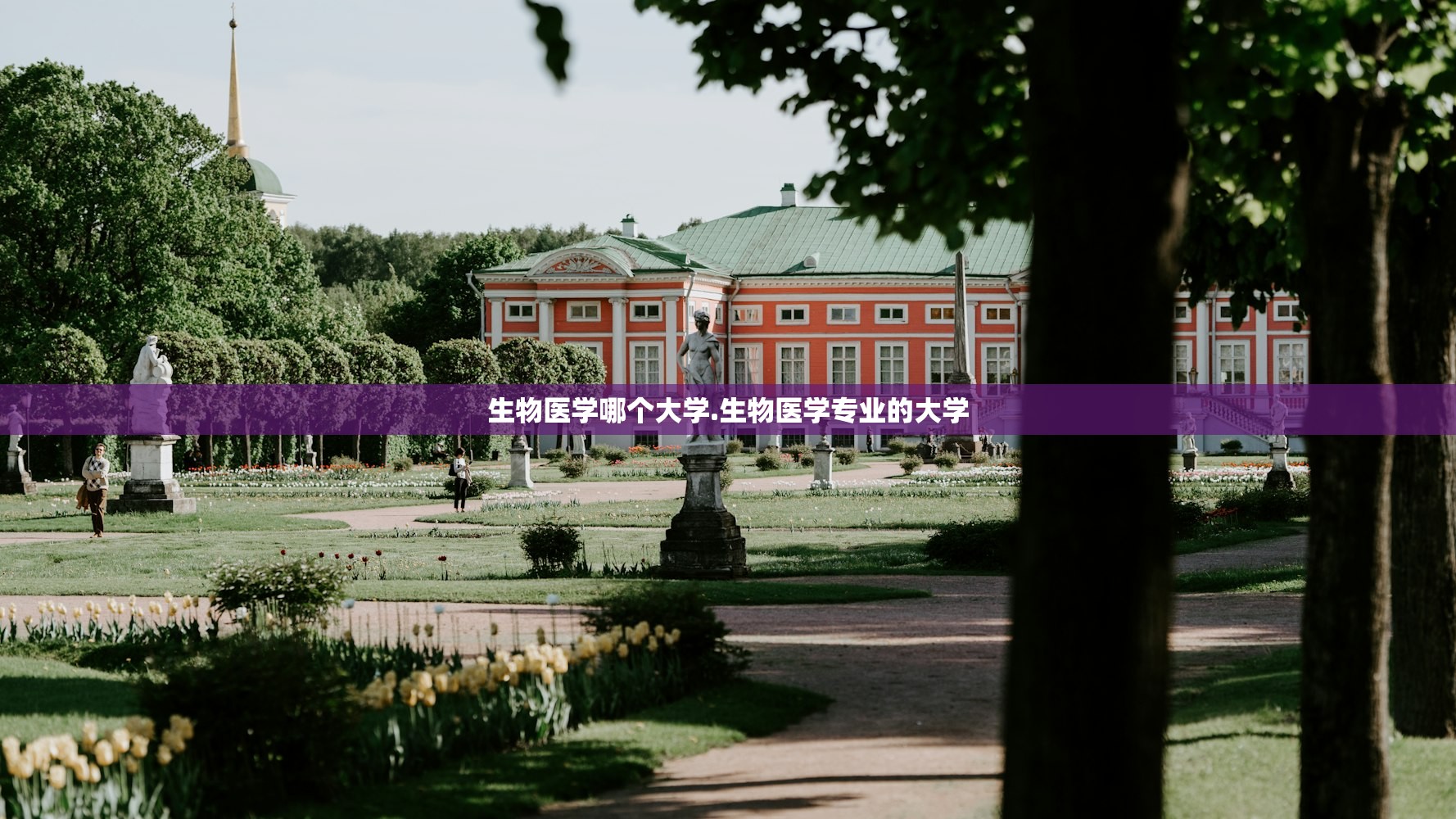 生物医学哪个大学.生物医学专业的大学 生物医学哪个大学.生物医学专业的大学