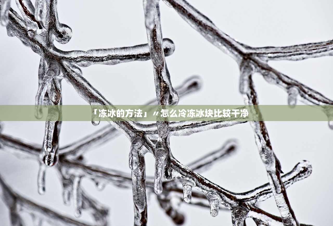 「冻冰的方法」〃怎么冷冻冰块比较干净 「冻冰的方法」〃怎么冷冻冰块比较干净