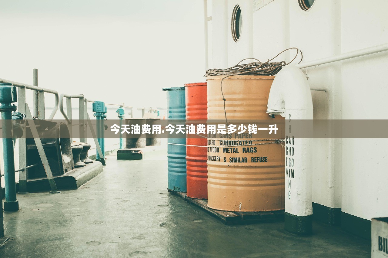 今天油费用.今天油费用是多少钱一升