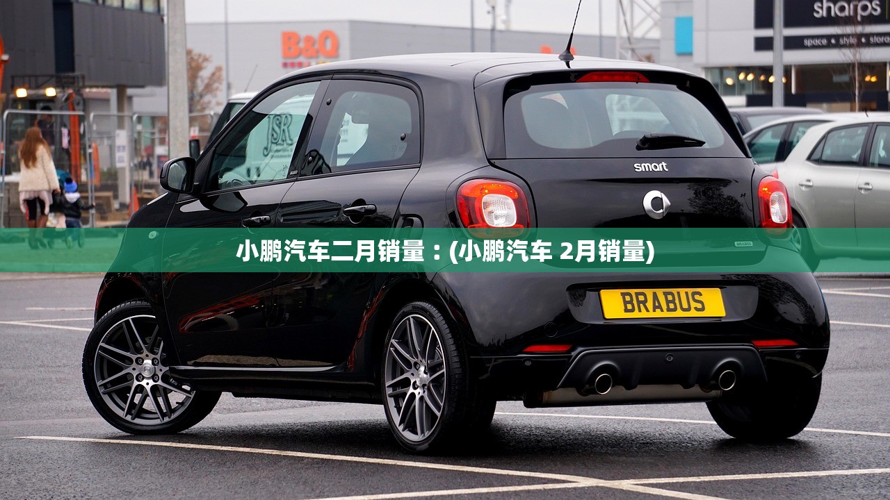 小鹏汽车二月销量︰(小鹏汽车 2月销量)