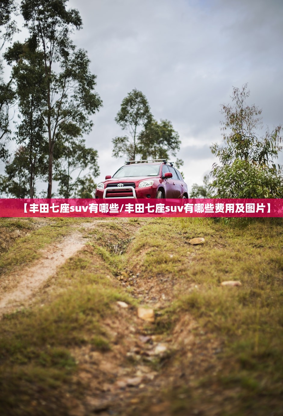 【丰田七座suv有哪些/丰田七座suv有哪些费用及图片】
