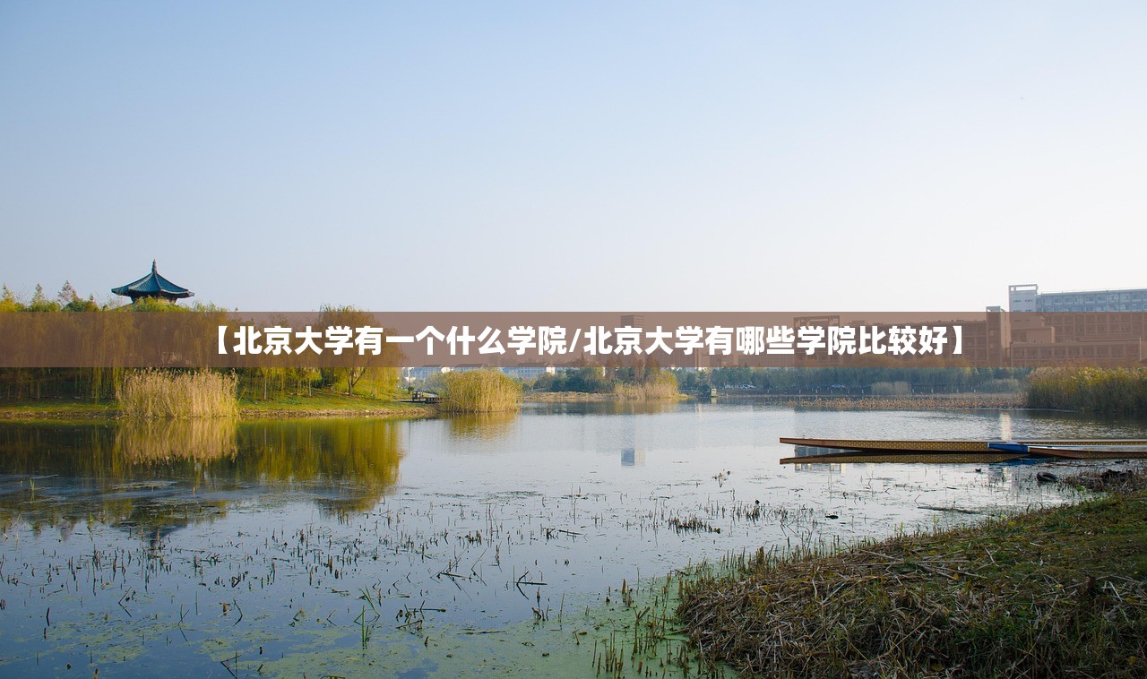 【北京大学有一个什么学院/北京大学有哪些学院比较好】 【北京大学有一个什么学院/北京大学有哪些学院比较好】