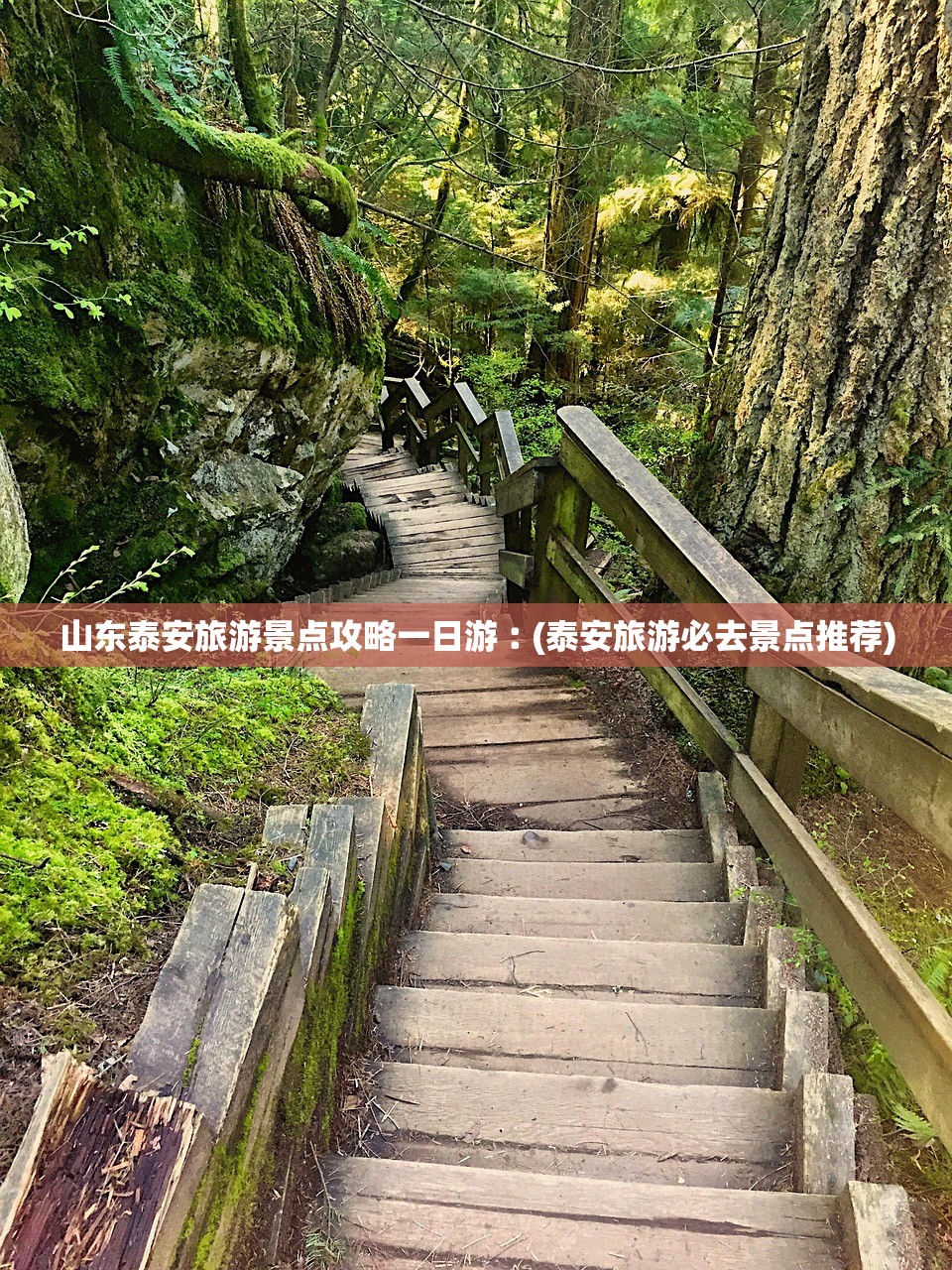 山东泰安旅游景点攻略一日游︰(泰安旅游必去景点推荐) 山东泰安旅游景点攻略一日游︰(泰安旅游必去景点推荐)