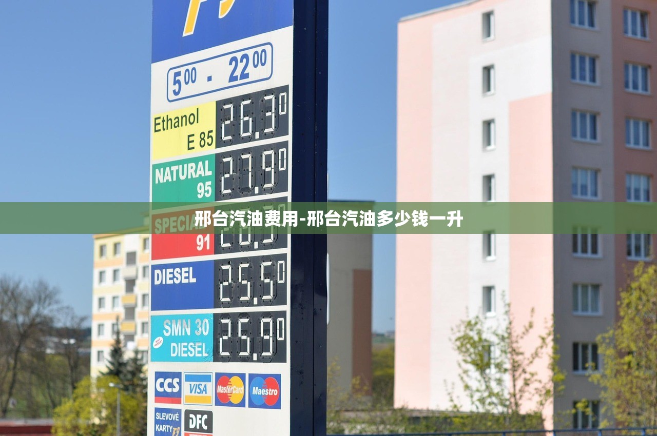 邢台汽油费用-邢台汽油多少钱一升 邢台汽油费用-邢台汽油多少钱一升