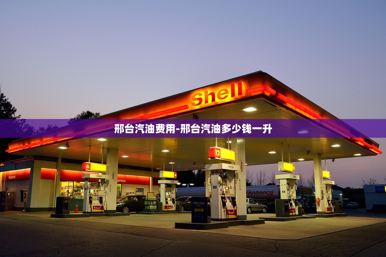 邢台汽油费用-邢台汽油多少钱一升 邢台汽油费用-邢台汽油多少钱一升