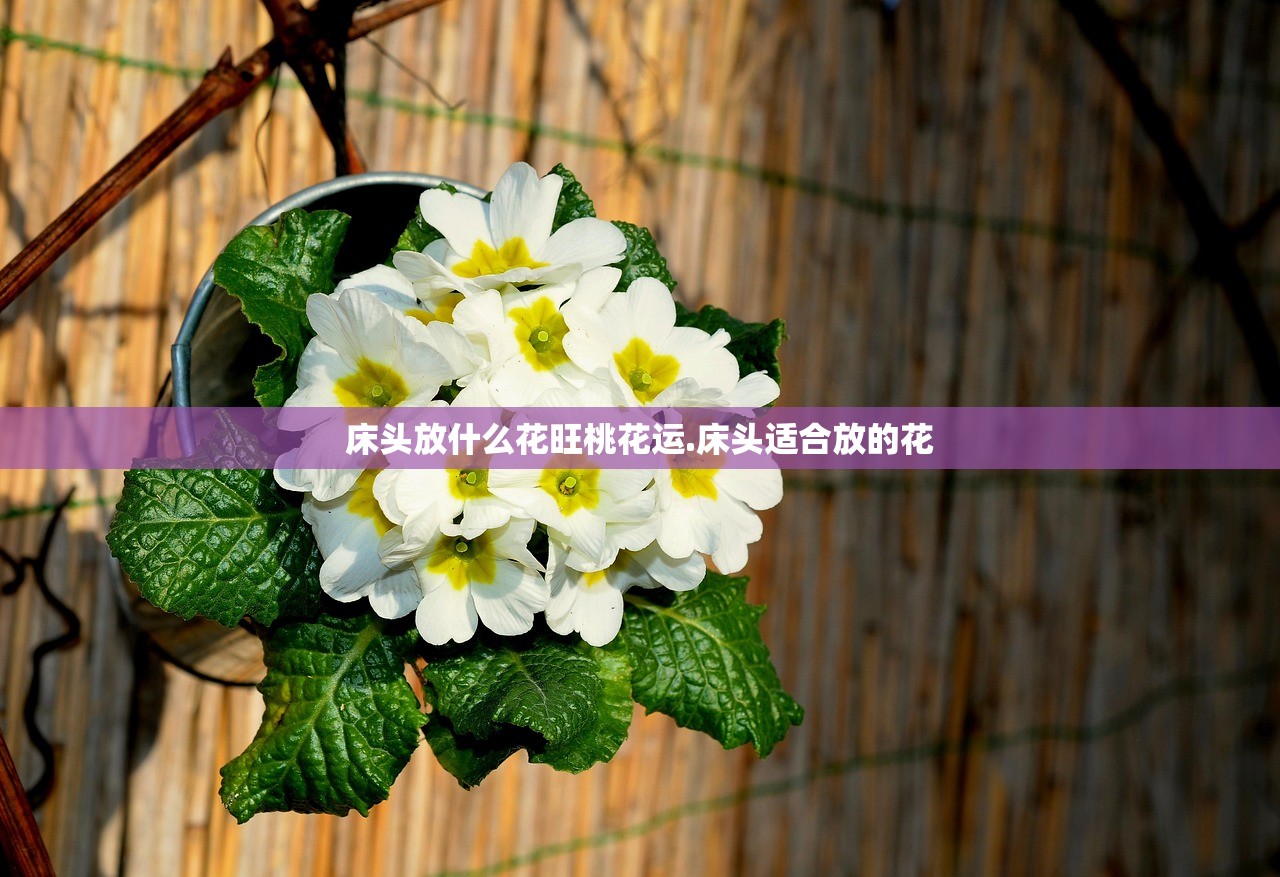 床头放什么花旺桃花运.床头适合放的花 床头放什么花旺桃花运.床头适合放的花