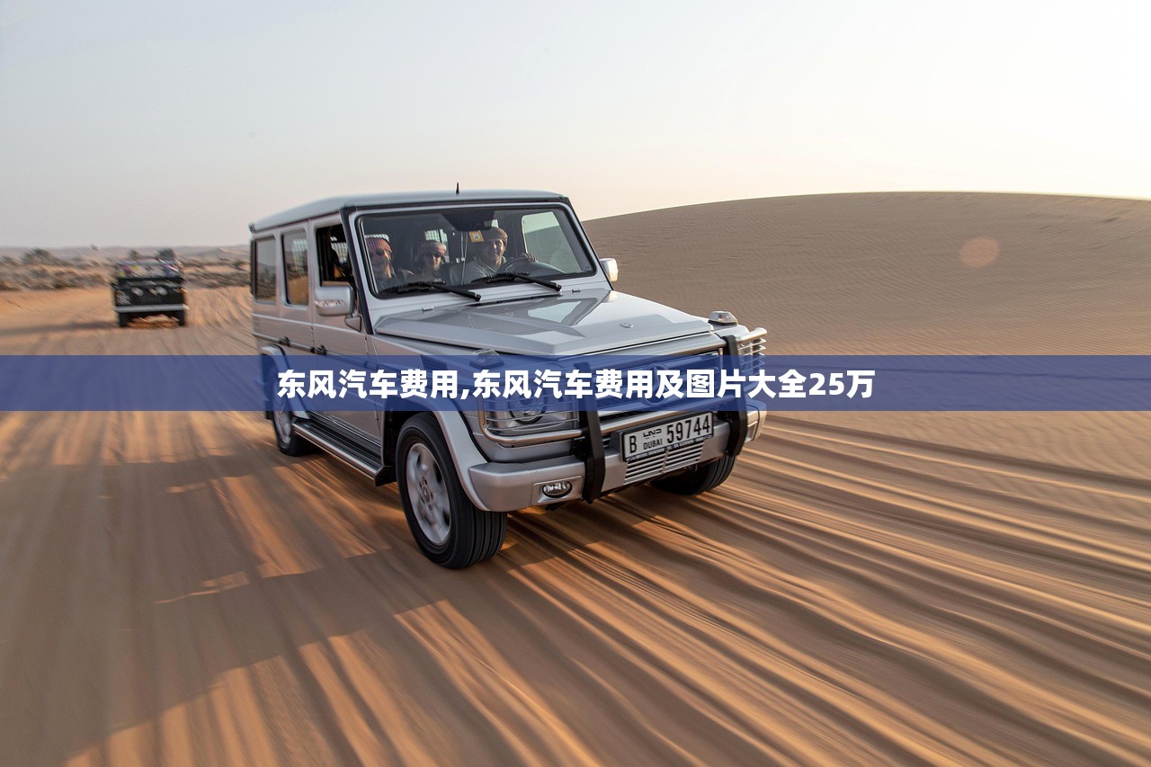 东风汽车费用,东风汽车费用及图片大全25万