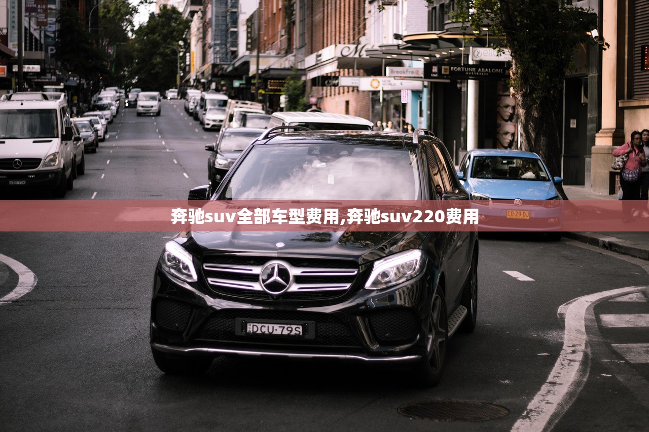 奔驰suv全部车型费用,奔驰suv220费用 奔驰suv全部车型费用,奔驰suv220费用