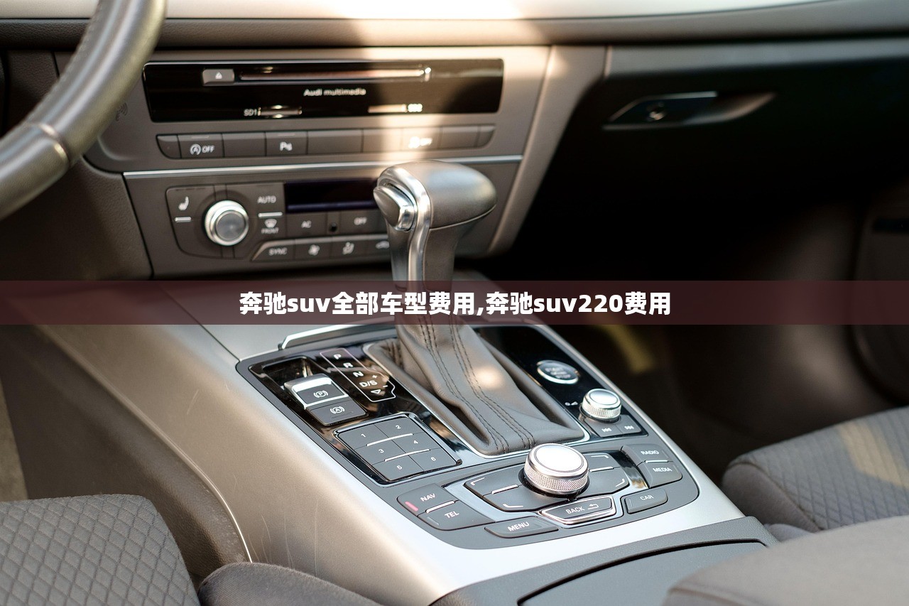 奔驰suv全部车型费用,奔驰suv220费用 奔驰suv全部车型费用,奔驰suv220费用