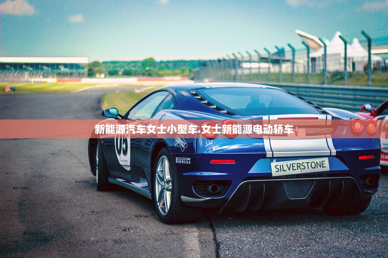 新能源汽车女士小型车.女士新能源电动轿车 新能源汽车女士小型车.女士新能源电动轿车
