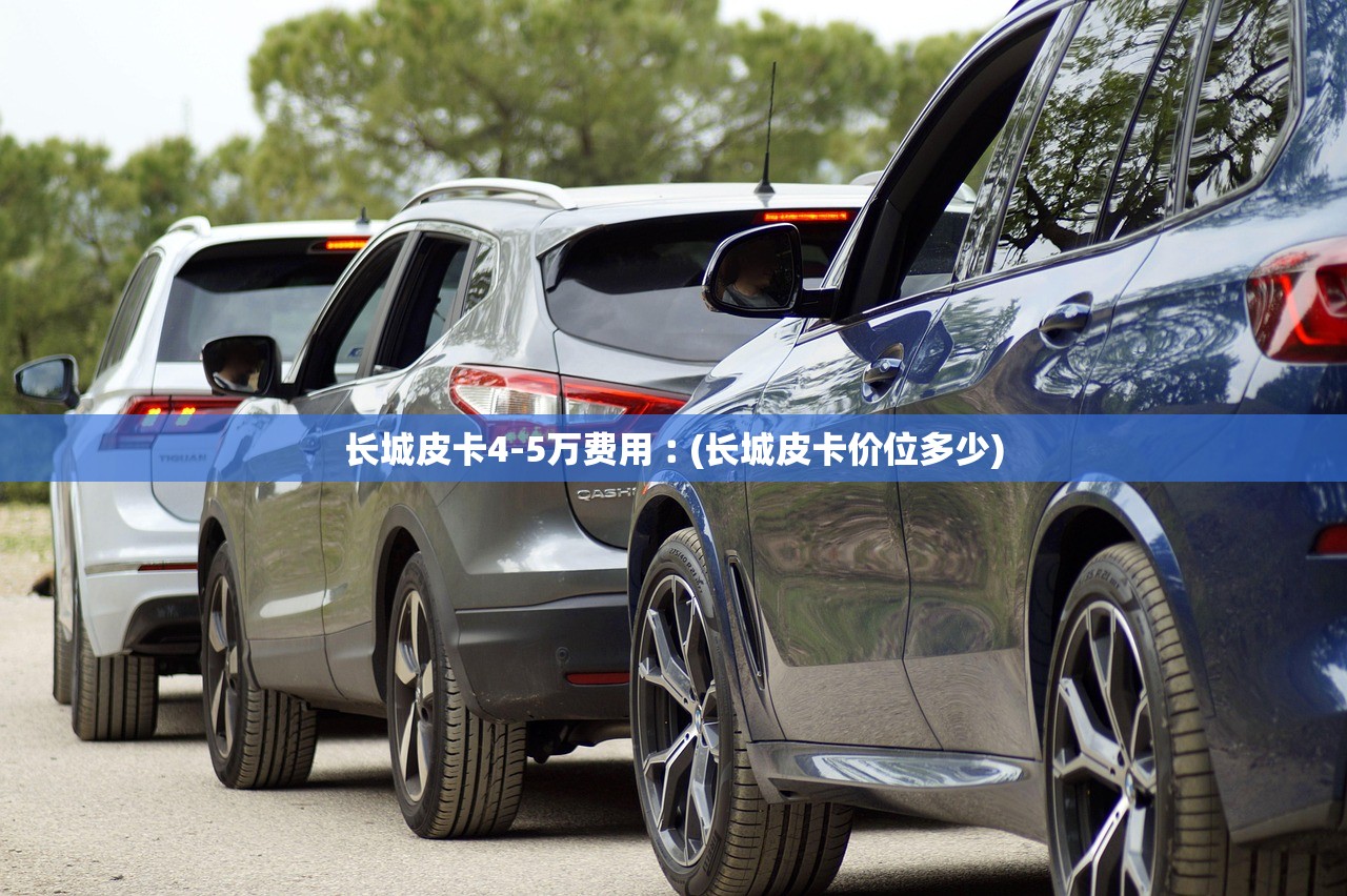 长城皮卡4-5万费用︰(长城皮卡价位多少) 长城皮卡4-5万费用︰(长城皮卡价位多少)