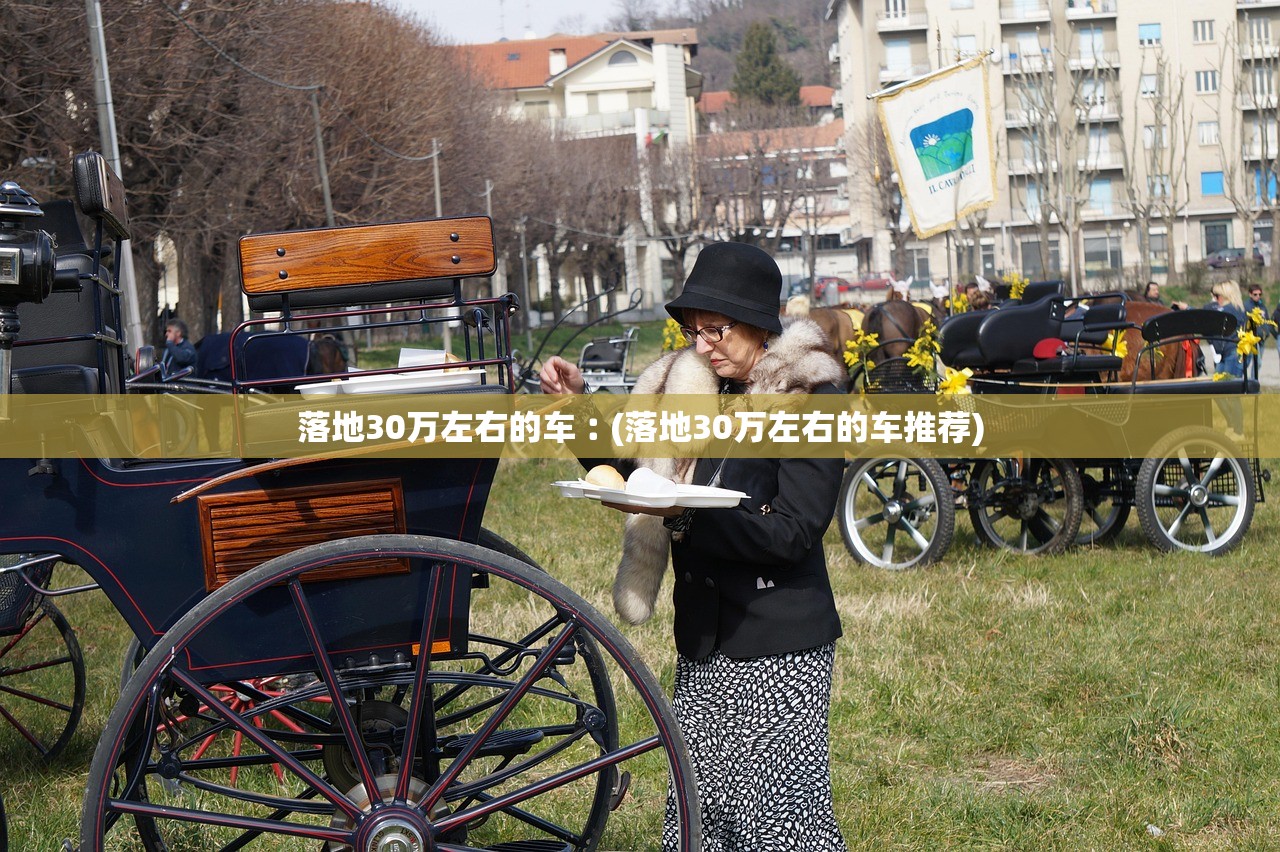 落地30万左右的车︰(落地30万左右的车推荐)