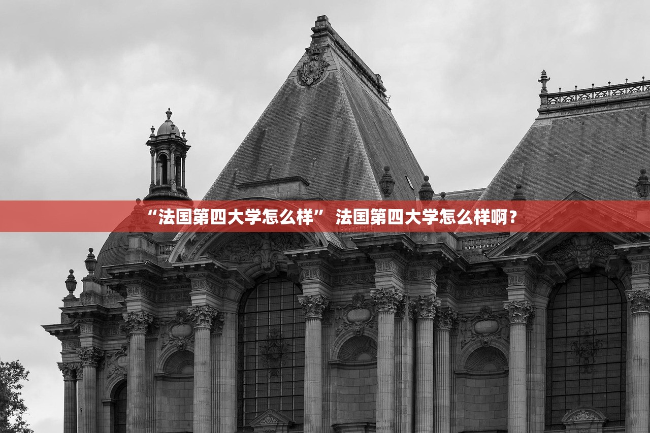 “法国第四大学怎么样	” 法国第四大学怎么样啊？
