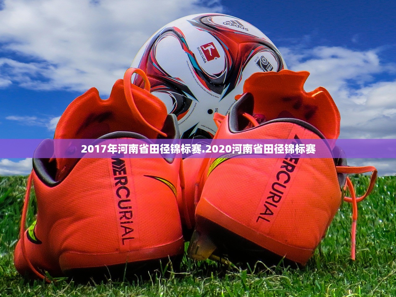 2017年河南省田径锦标赛.2020河南省田径锦标赛 2017年河南省田径锦标赛.2020河南省田径锦标赛