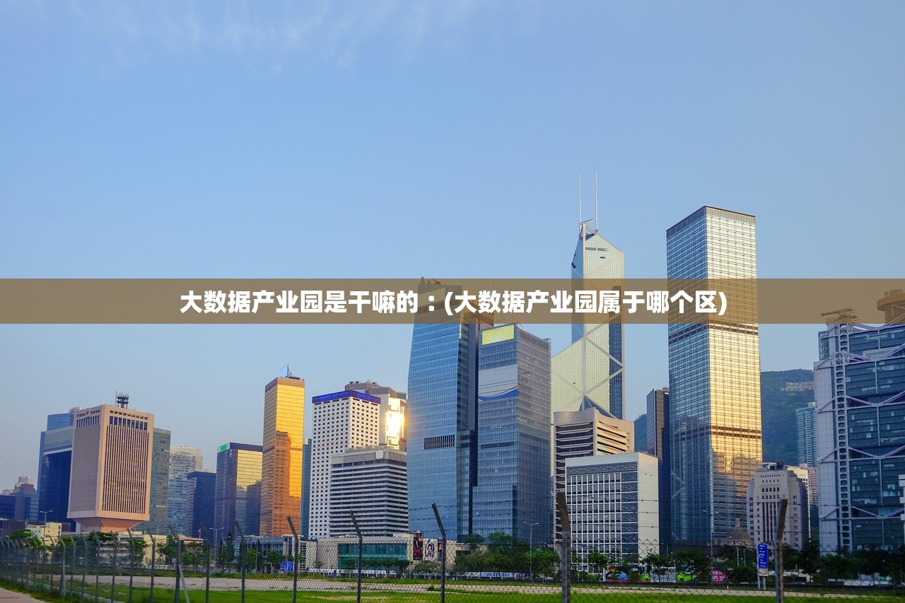 大数据产业园是干嘛的︰(大数据产业园属于哪个区)