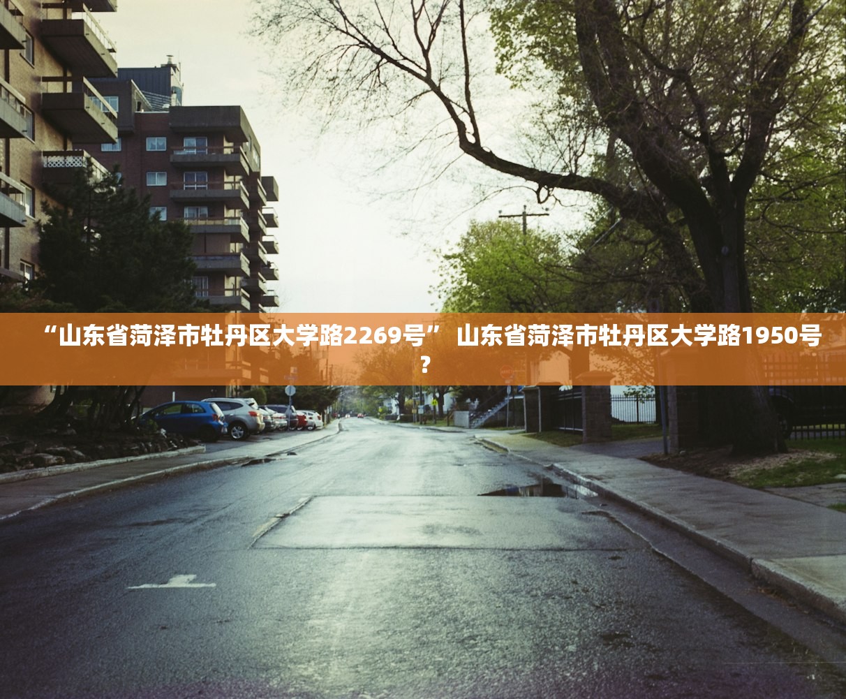 “山东省菏泽市牡丹区大学路2269号” 山东省菏泽市牡丹区大学路1950号？