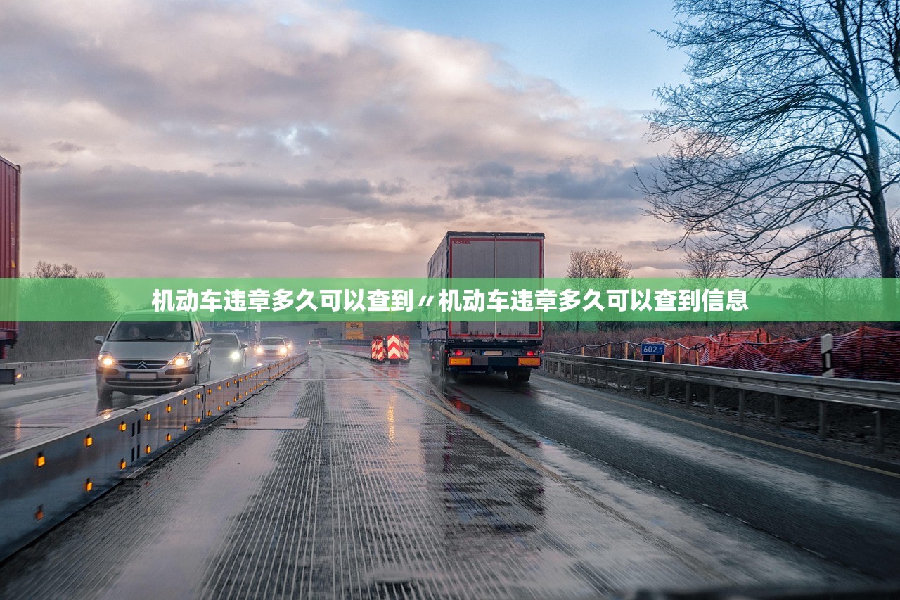 机动车违章多久可以查到〃机动车违章多久可以查到信息 机动车违章多久可以查到〃机动车违章多久可以查到信息