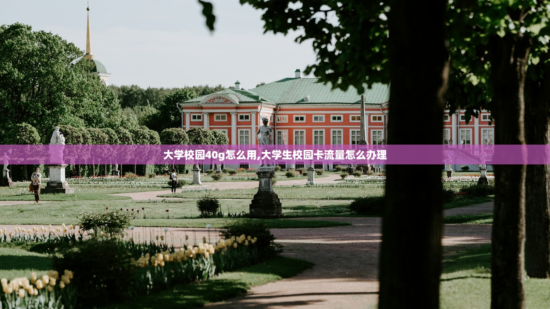 大学校园40g怎么用,大学生校园卡流量怎么办理 大学校园40g怎么用,大学生校园卡流量怎么办理