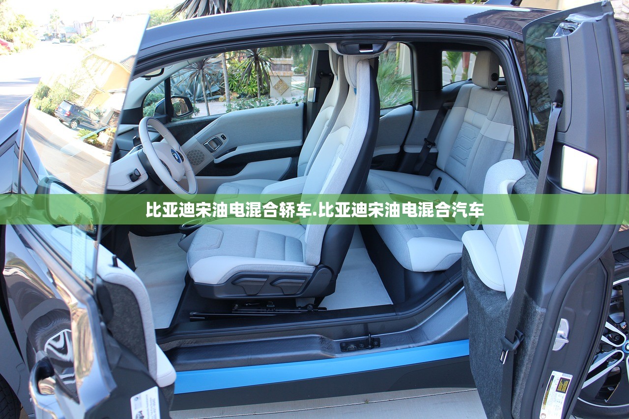 比亚迪宋油电混合轿车.比亚迪宋油电混合汽车 比亚迪宋油电混合轿车.比亚迪宋油电混合汽车