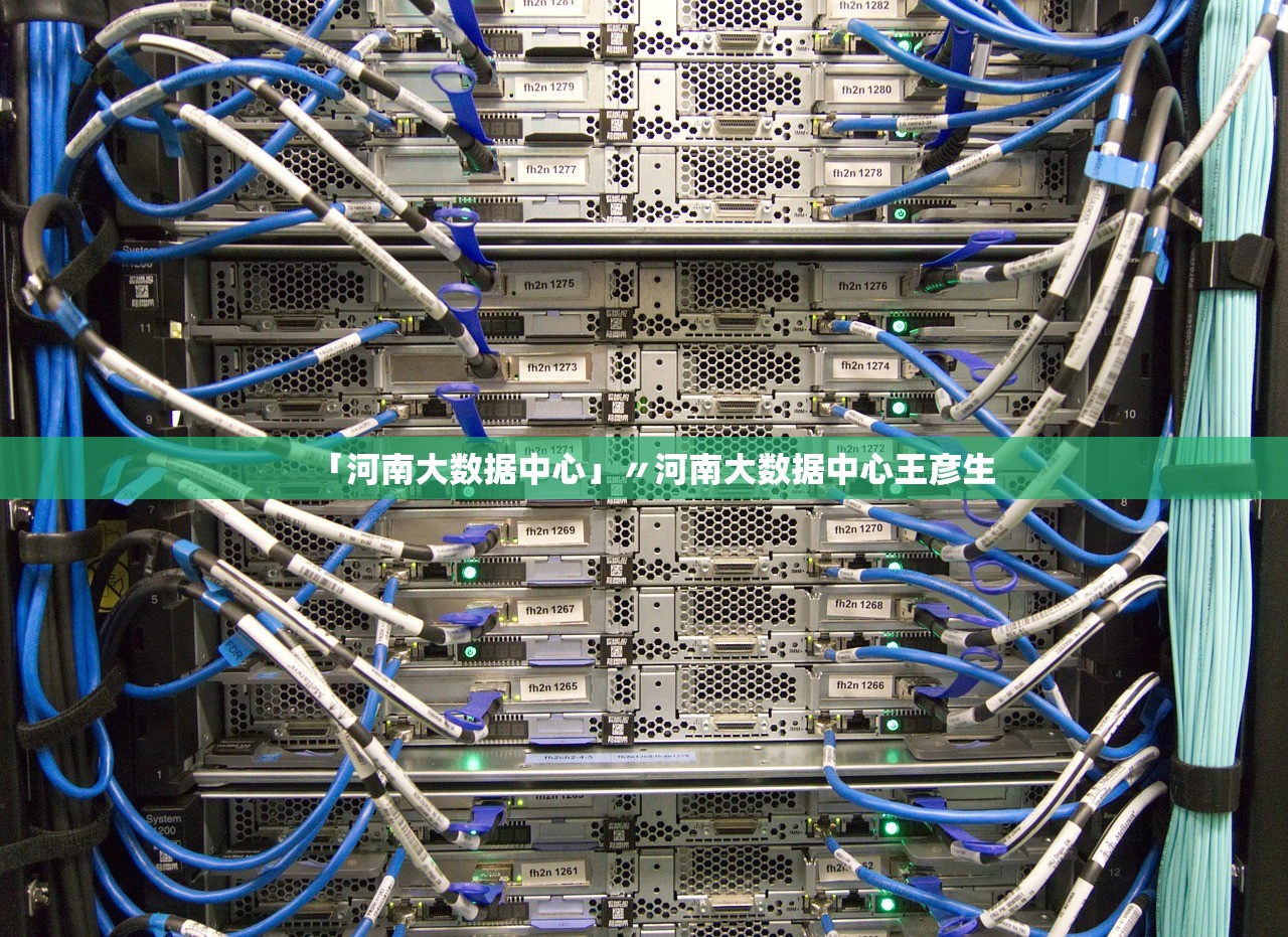 「河南大数据中心」〃河南大数据中心王彦生 「河南大数据中心」〃河南大数据中心王彦生