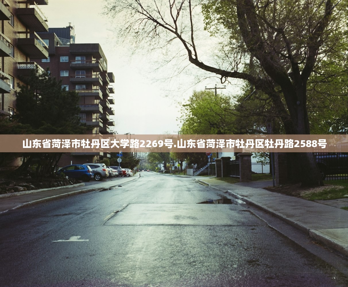 山东省菏泽市牡丹区大学路2269号.山东省菏泽市牡丹区牡丹路2588号 山东省菏泽市牡丹区大学路2269号.山东省菏泽市牡丹区牡丹路2588号