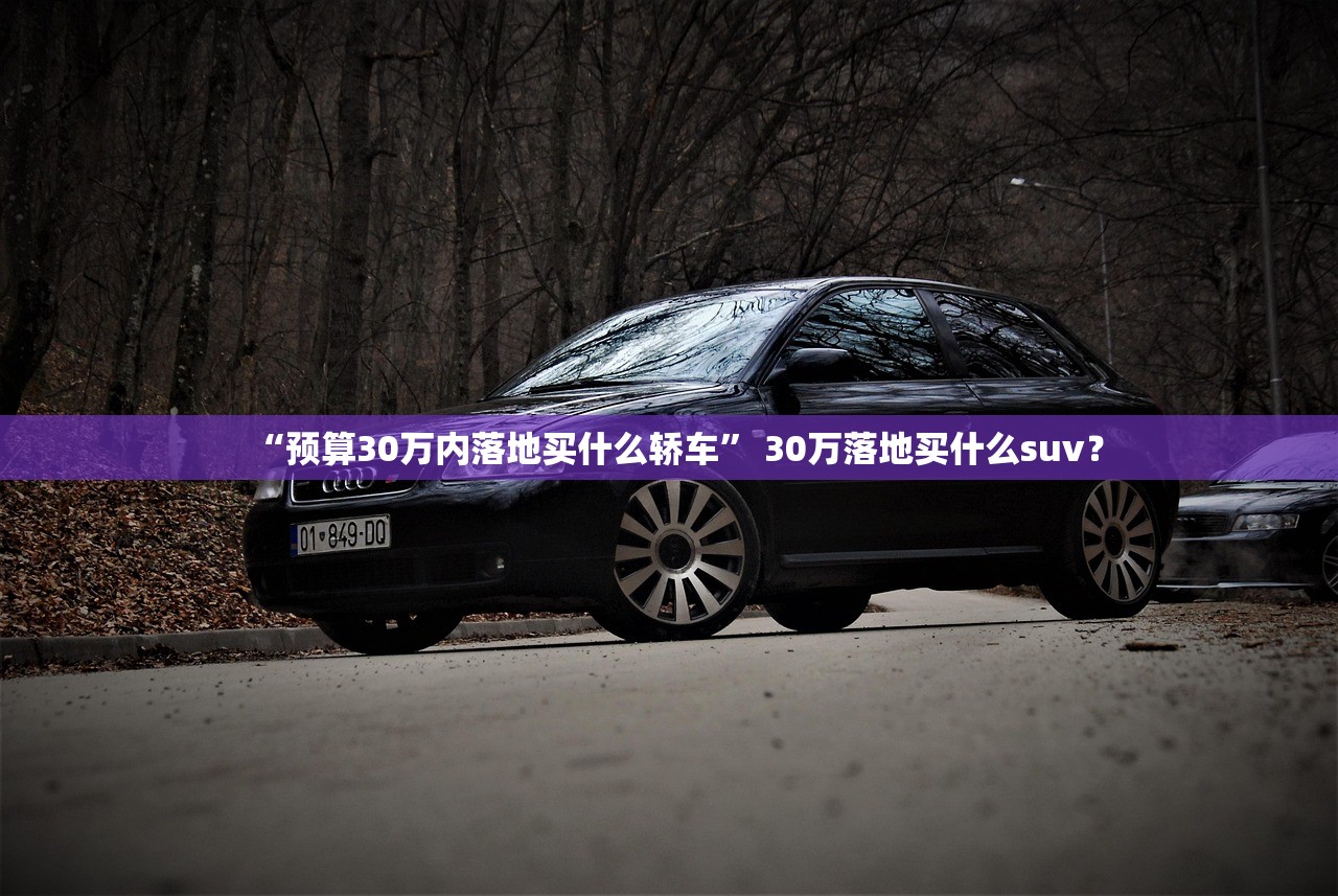 “预算30万内落地买什么轿车” 30万落地买什么suv？
