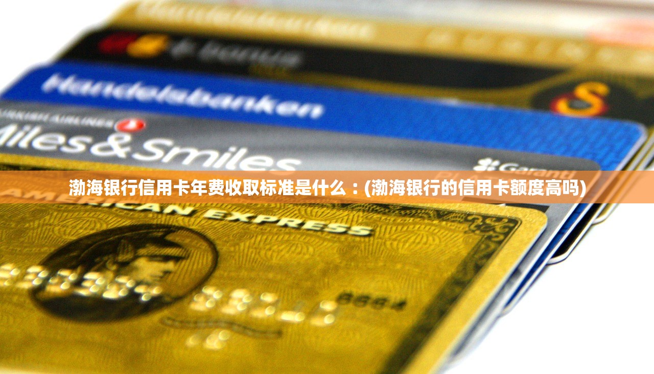 渤海银行信用卡年费收取标准是什么︰(渤海银行的信用卡额度高吗) 渤海银行信用卡年费收取标准是什么︰(渤海银行的信用卡额度高吗)