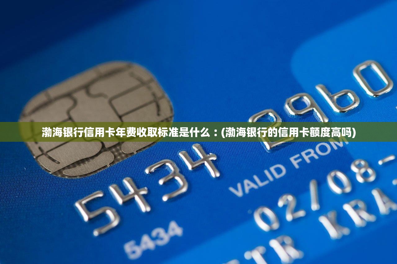 渤海银行信用卡年费收取标准是什么︰(渤海银行的信用卡额度高吗) 渤海银行信用卡年费收取标准是什么︰(渤海银行的信用卡额度高吗)