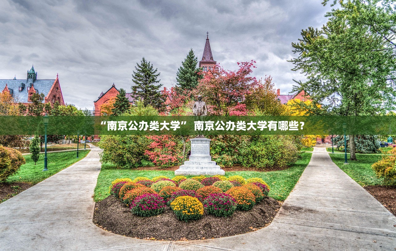 “南京公办类大学	” 南京公办类大学有哪些？