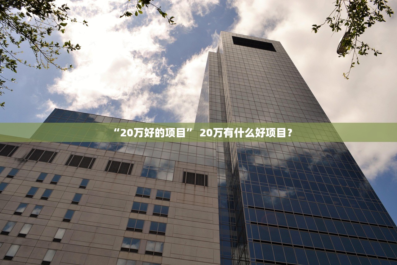 “20万好的项目” 20万有什么好项目？