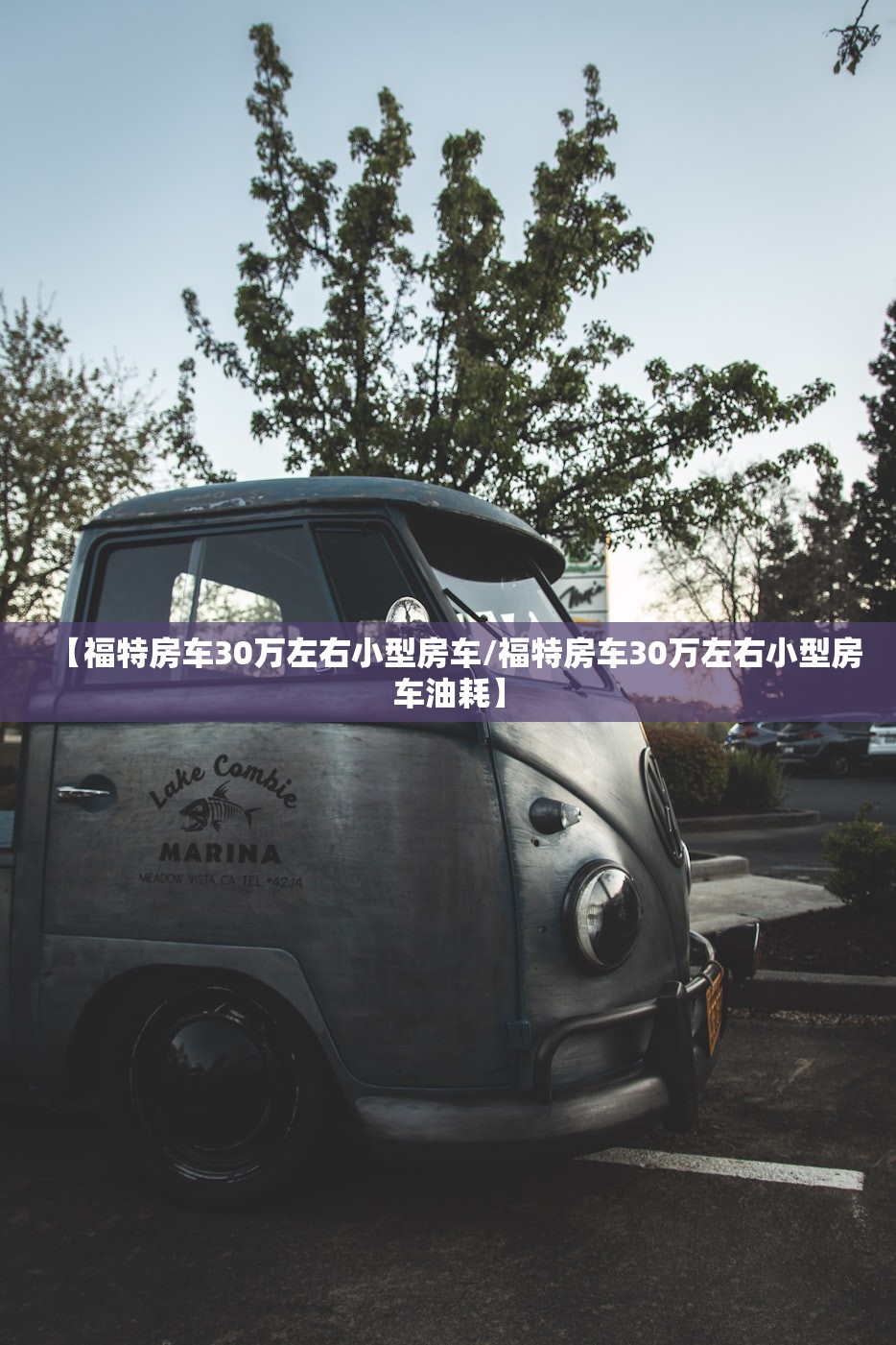 【福特房车30万左右小型房车/福特房车30万左右小型房车油耗】