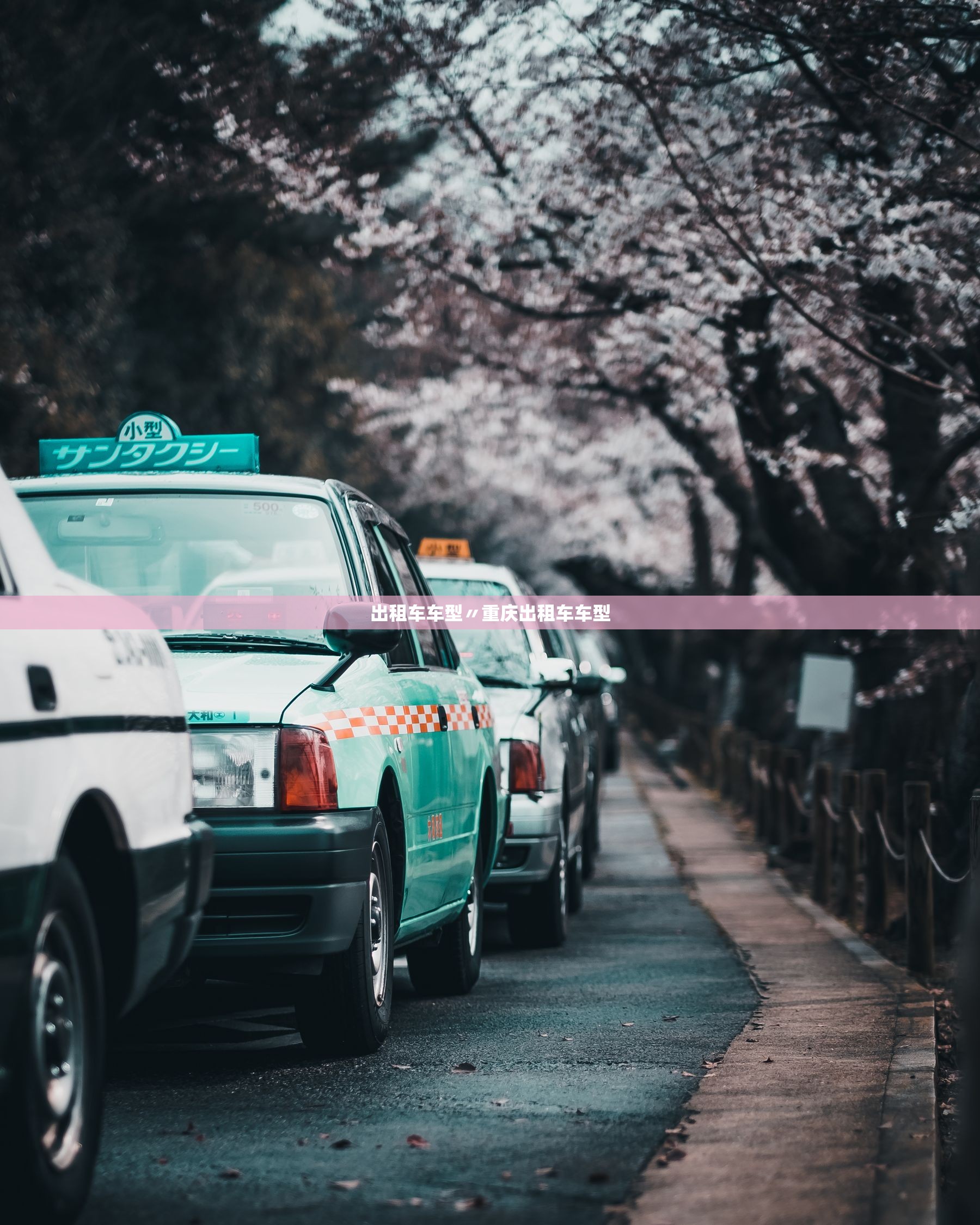 出租车车型〃重庆出租车车型 出租车车型〃重庆出租车车型