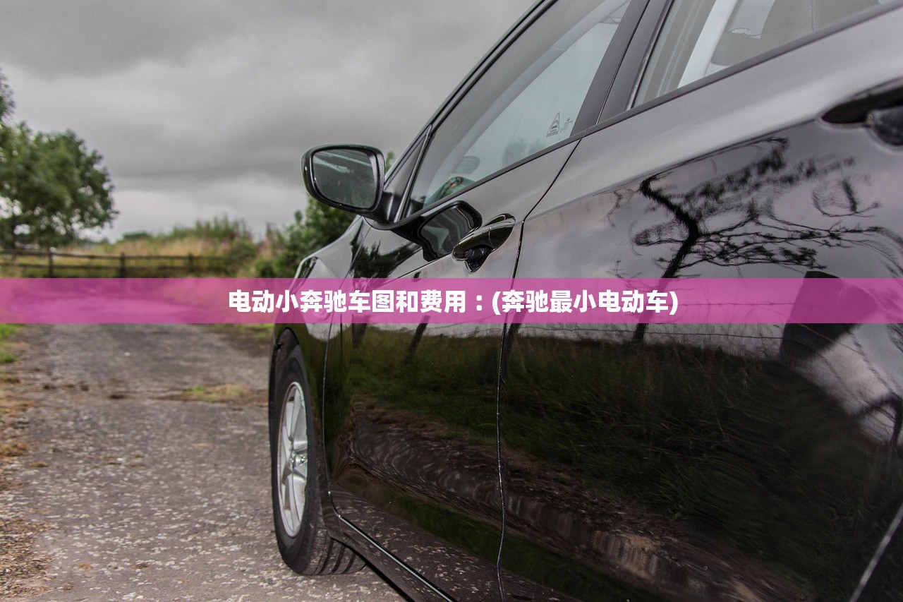 电动小奔驰车图和费用︰(奔驰最小电动车) 电动小奔驰车图和费用︰(奔驰最小电动车)