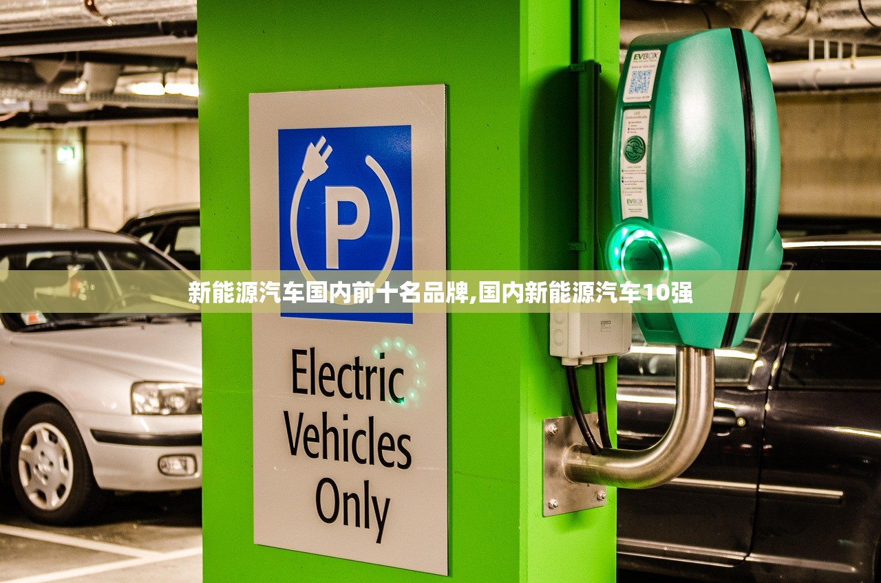 新能源汽车国内前十名品牌,国内新能源汽车10强 新能源汽车国内前十名品牌,国内新能源汽车10强