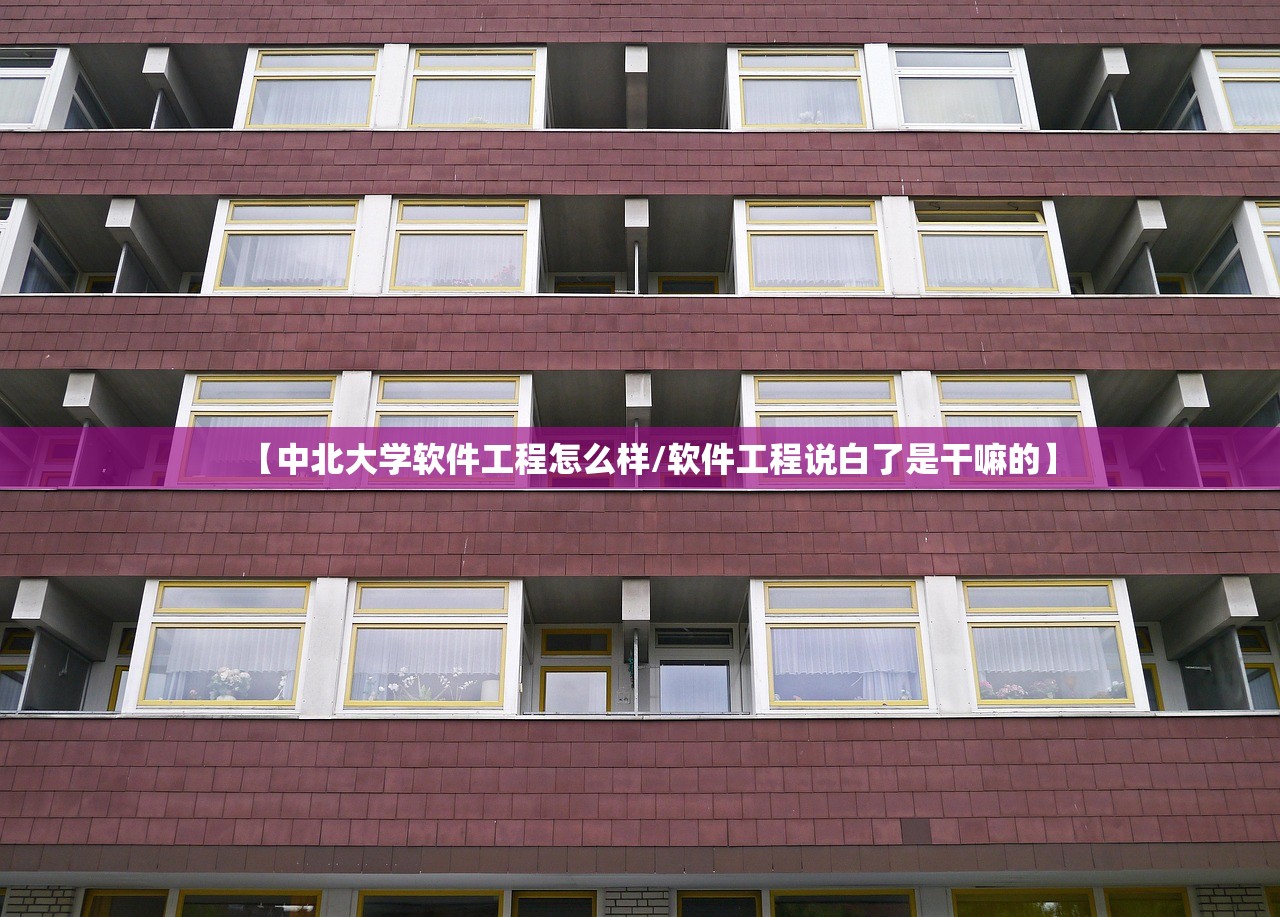 【中北大学软件工程怎么样/软件工程说白了是干嘛的】