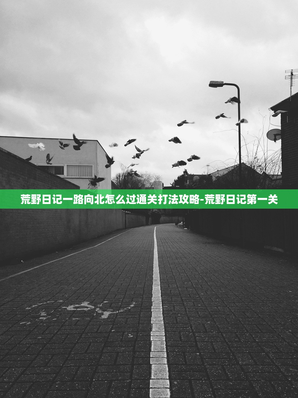 荒野日记一路向北怎么过通关打法攻略-荒野日记第一关 荒野日记一路向北怎么过通关打法攻略-荒野日记第一关