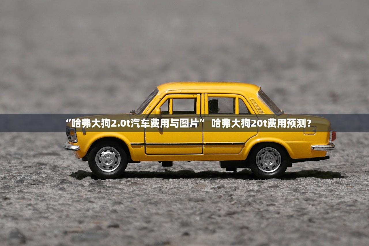 “哈弗大狗2.0t汽车费用与图片” 哈弗大狗20t费用预测？