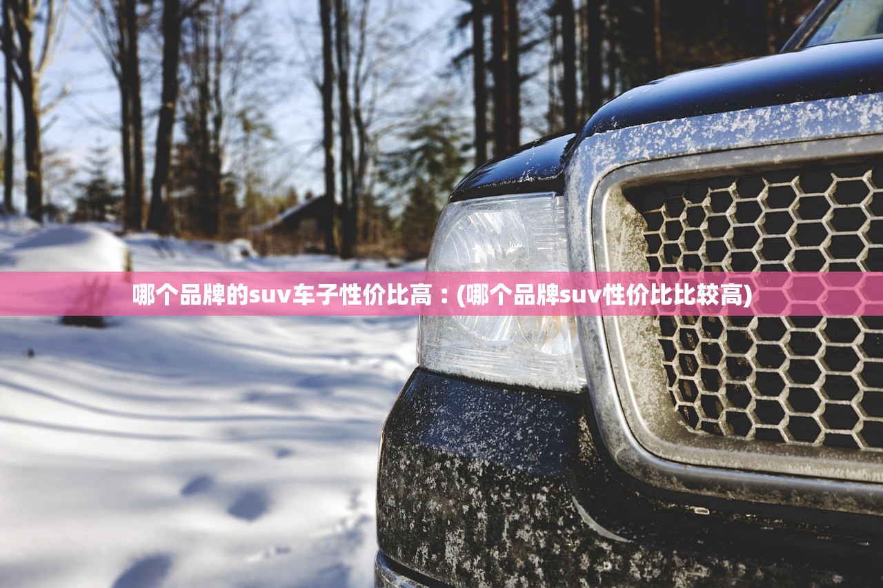 哪个品牌的suv车子性价比高︰(哪个品牌suv性价比比较高) 哪个品牌的suv车子性价比高︰(哪个品牌suv性价比比较高)