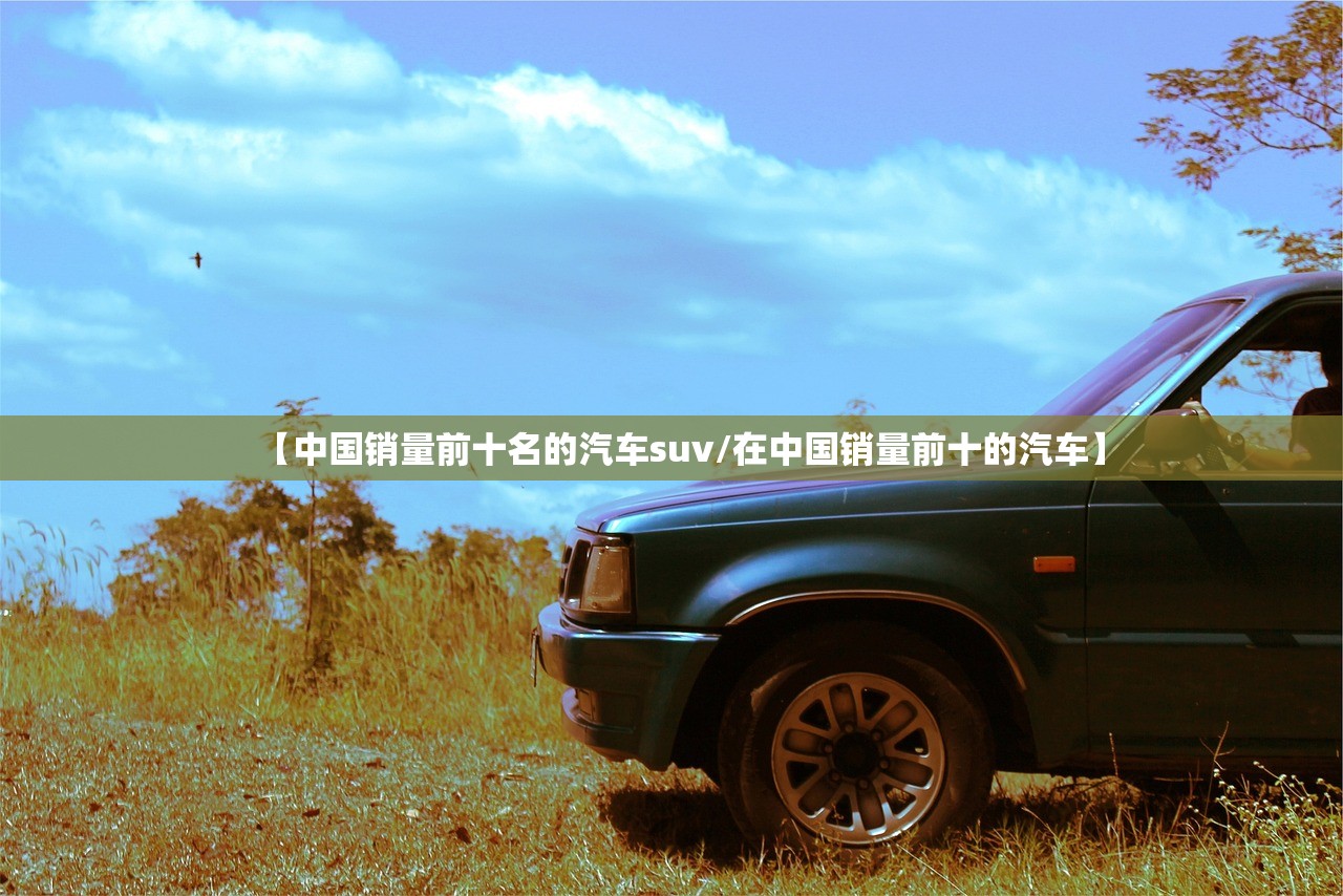 【中国销量前十名的汽车suv/在中国销量前十的汽车】 【中国销量前十名的汽车suv/在中国销量前十的汽车】