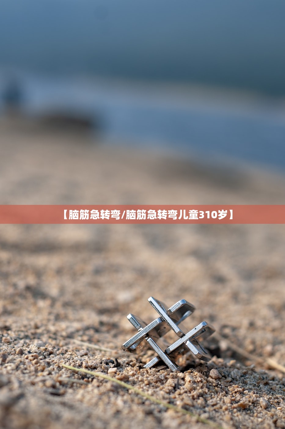 【脑筋急转弯/脑筋急转弯儿童310岁】