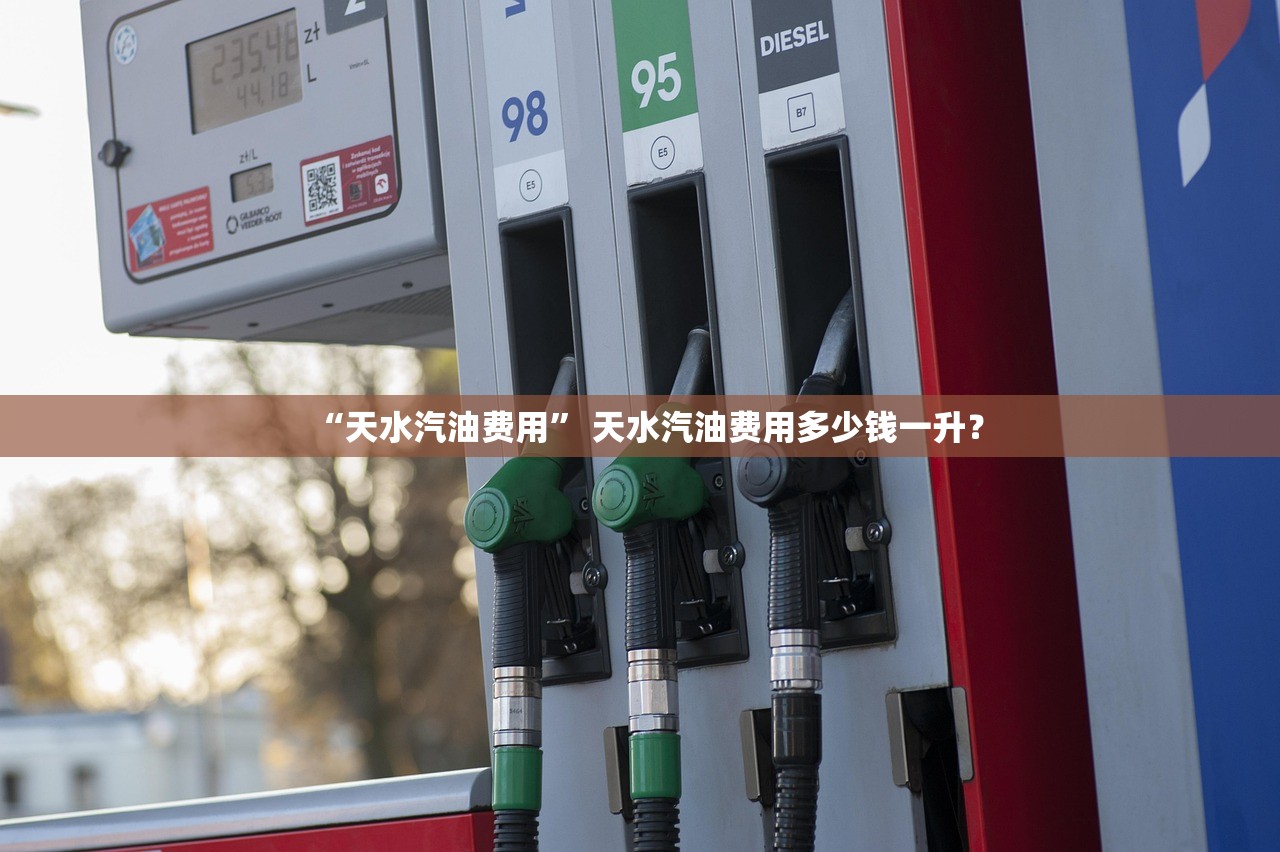 “天水汽油费用	” 天水汽油费用多少钱一升？