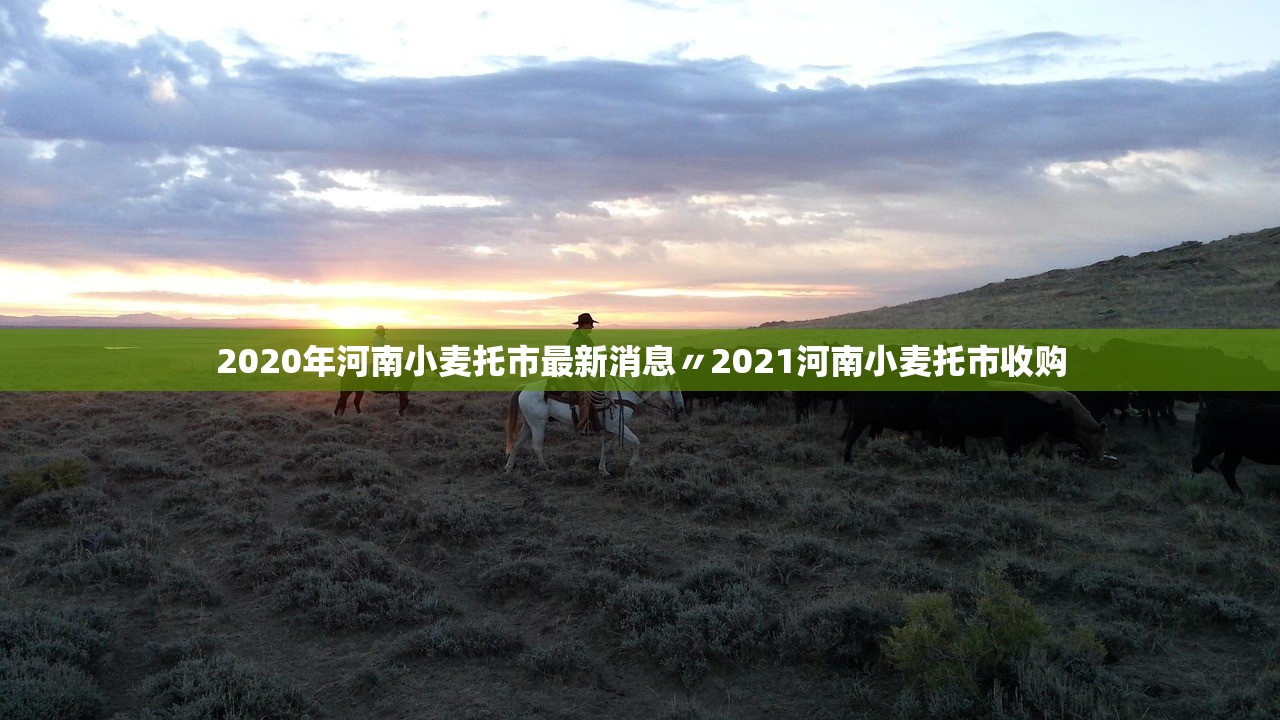 2020年河南小麦托市最新消息〃2021河南小麦托市收购 2020年河南小麦托市最新消息〃2021河南小麦托市收购