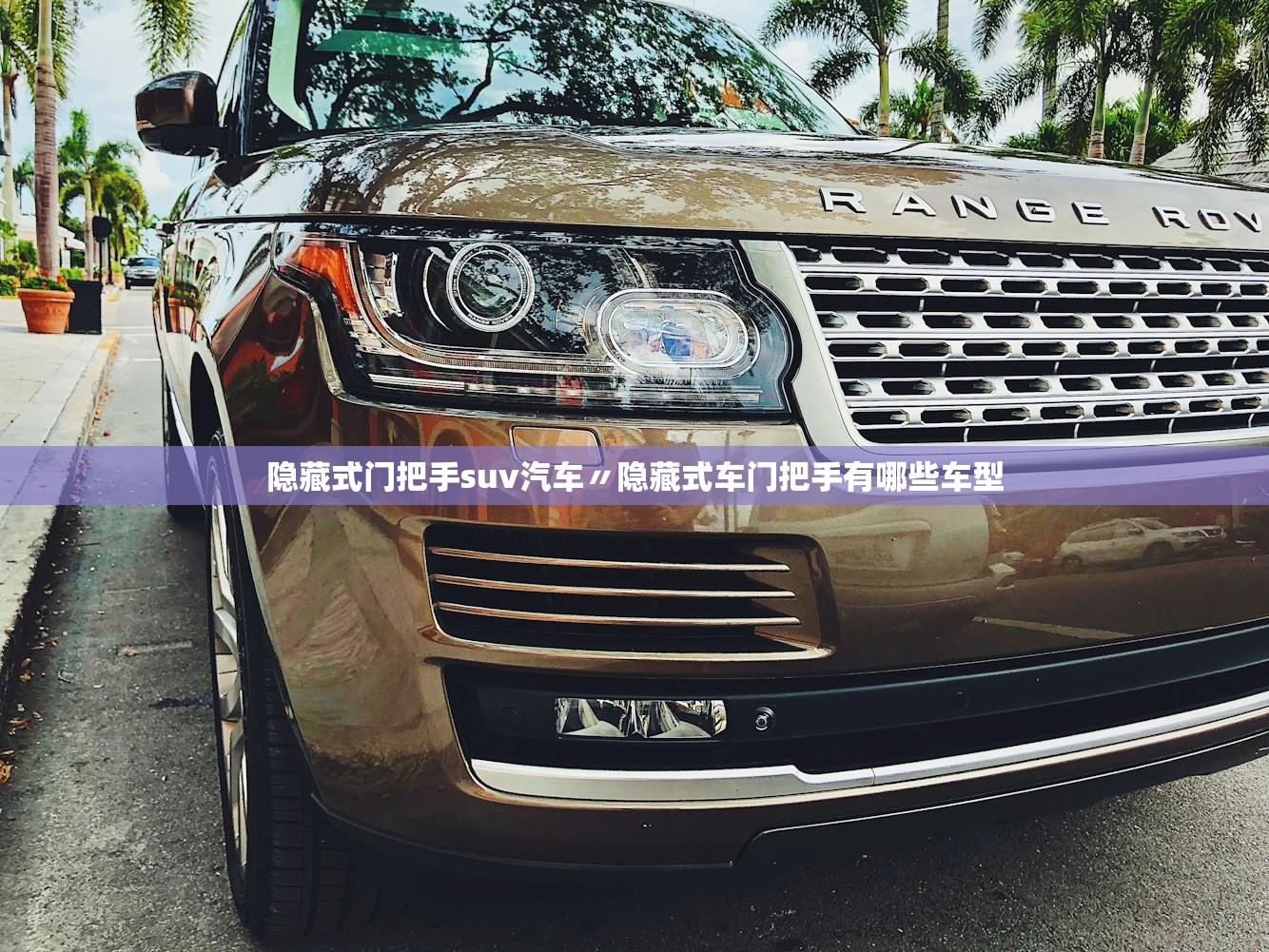 隐藏式门把手suv汽车〃隐藏式车门把手有哪些车型 隐藏式门把手suv汽车〃隐藏式车门把手有哪些车型