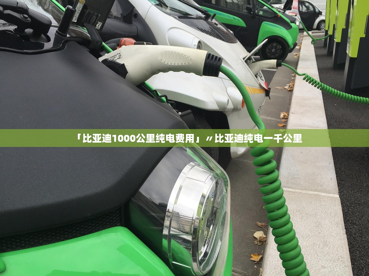 「比亚迪1000公里纯电费用」〃比亚迪纯电一千公里 「比亚迪1000公里纯电费用」〃比亚迪纯电一千公里