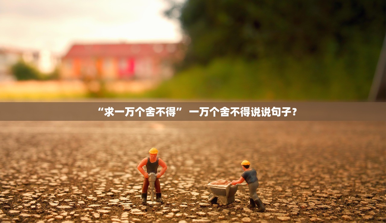 “求一万个舍不得” 一万个舍不得说说句子？