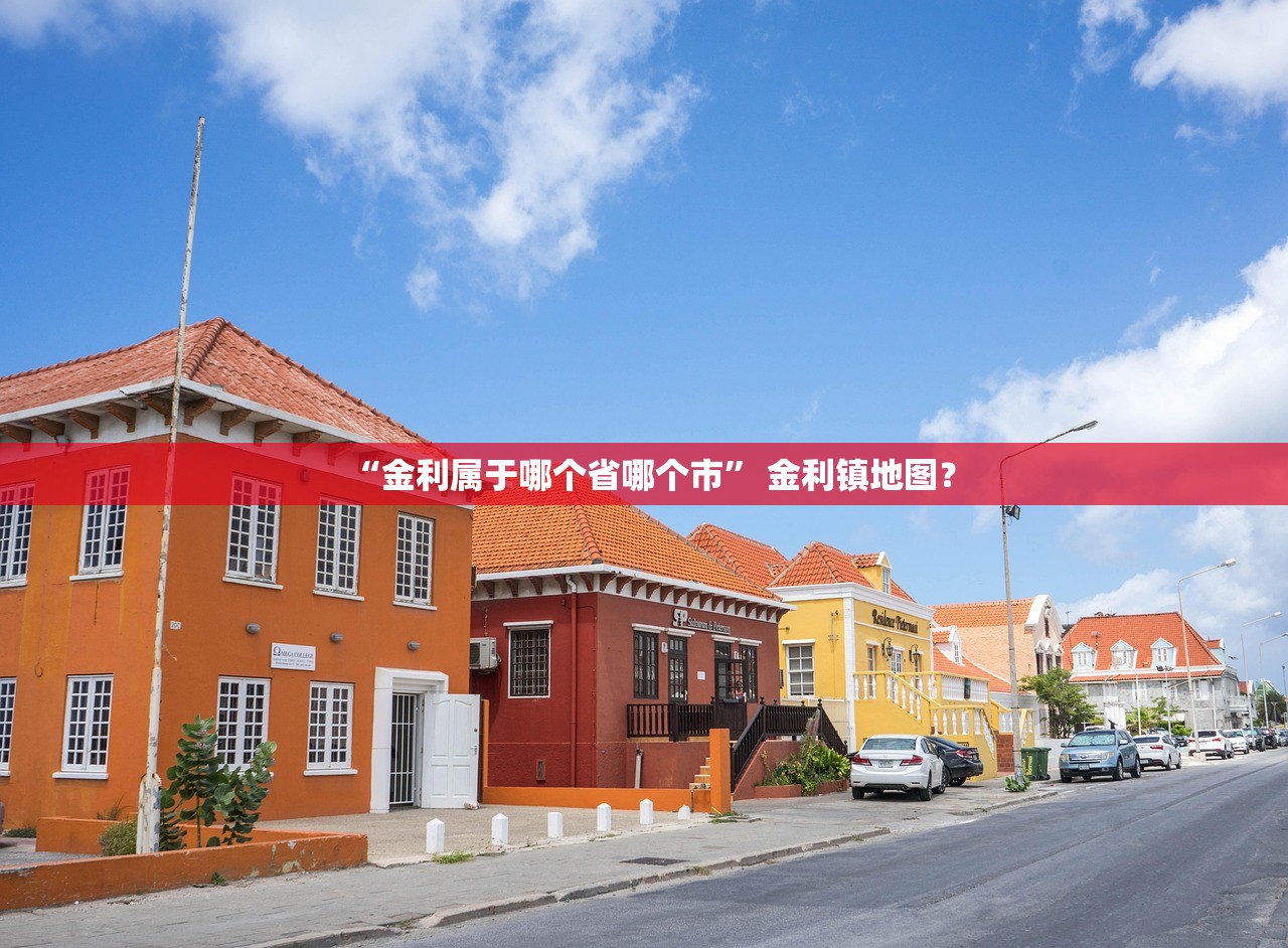 “金利属于哪个省哪个市” 金利镇地图？